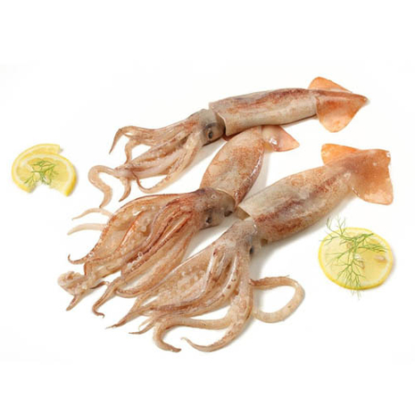 TOTANO